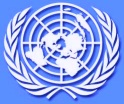 Drapeau ONU