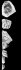 Diamant Cullinan Brut N�2