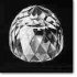 Diamant Great Mogul