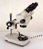 Microscope, loupe binoculaire