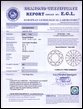 Certificat EGL : cliquez pour agrandir