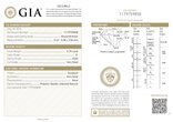 Certificat GIA Diamond Dossier : cliquez pour agrandir