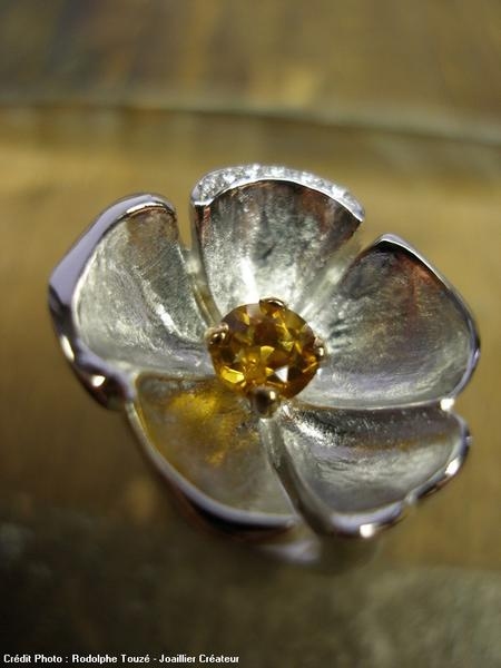 Rodolphe Touzé n° 5